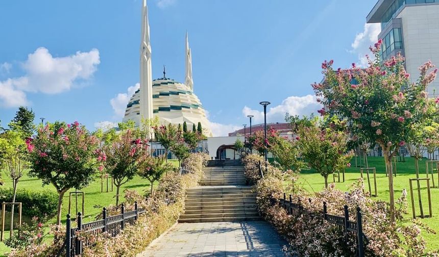 2026 Üniversitelerde En İyi İlahiyat Bölümleri Belli Oldu! İşte İlahiyat Fakülteleri Listesi