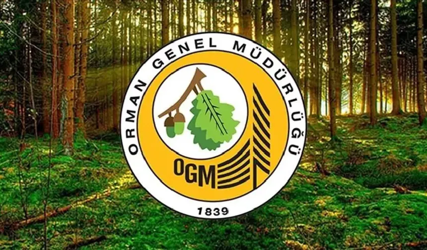 O İli Kapsayan Yeni Orman İşletme Müdürlüğü Açıldı!