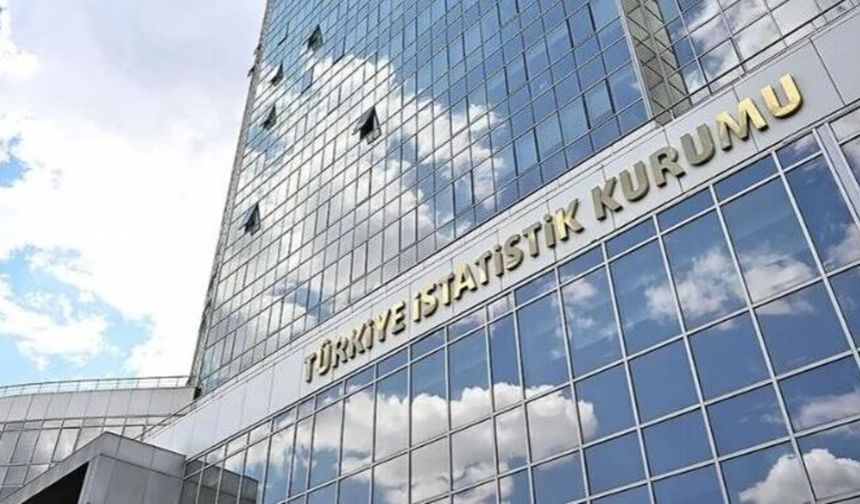 TÜİK'te üst düzey operasyon: Görevden alma ve yeni atama kararları