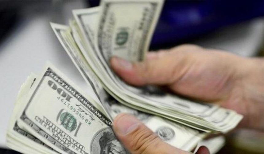 OVP'de dolar kuru için örtük hesap: 2026-2029 tahminleri belli oldu