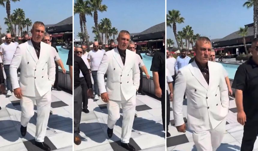 Ali Haydar Kurum 'sanal şöhret suçundan' gözaltına alındı