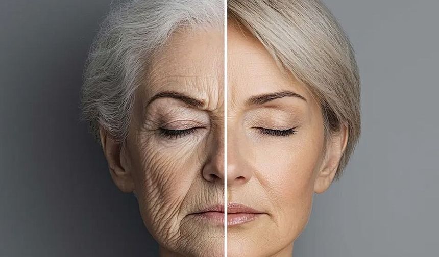 Yaşlanmayı tersine çeviren keşif: Beyin hücreleri 50 günde 60 yıl gençleşti
