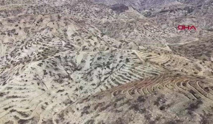 52 saat süren yangının bilançosu açıklandı: Zarar 600 milyon lirayı aştı