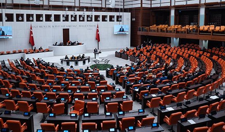 Meclise gelen talepler şaşırttı: 60 yaş üstüne yeşil pasaport istendi