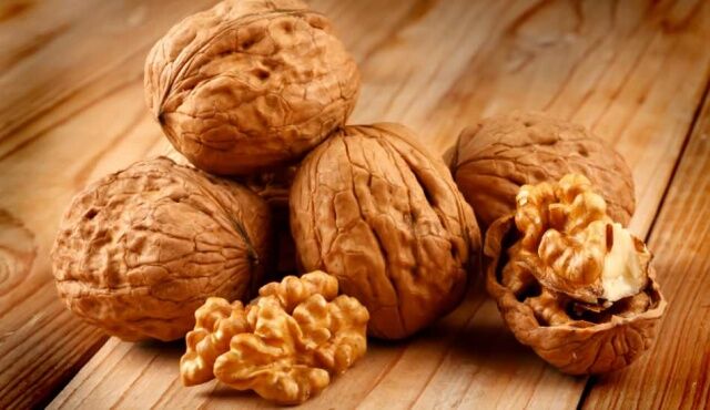 Önemli bir besin olmasının yanında yüksek yağ oranı nedeniyle kalori içeriği de oldukça fazladır. 100 gram cevizde ortalama 650 kalori bulunur. Bu sebeple günde 1 avuç dolusu değil, bir avuç içi ile sınırlandırılması gerekiyor.’’ ifadelerini kullandı.