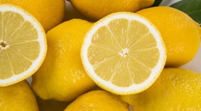 Ilıman iklimde yetişen limon ülkemizde Ege ve Akdeniz bölgelerinde bol bol yetişir. Ayrıca kış boyu yaprak dökmeyen bir ağaca sahiptir. Yazın sonunda hasat veren limon doğada bulunan en güçlü antioksidan ve antiseptik özelliklere sahip kuvvetli bir meyvedir. Limonun kabuğundan yapına kadar insan sağlığına birçok faydası vardır. Suyunda yüzde 5'lik oranda asit bulunan limon evlerde de yetiştirilir. Yemeklerden tatlılara kadar her alanda kullanılır.
