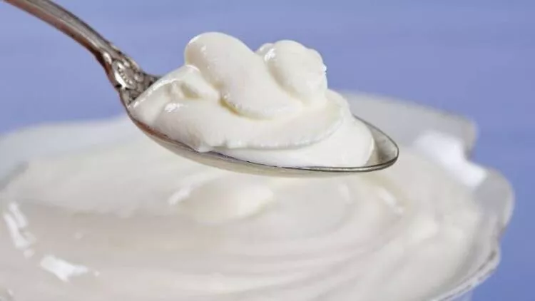 100 gram yoğurtta 4,5 gram protein bulunmaktadır. Yoğurt gibi proteini yüksek besinler, kasların gelişimini desteklerken düşük proteinli gıdalara göre her zaman daha doyurucudur.

