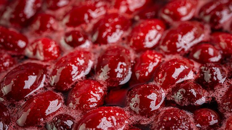 Geçmişi çok eskilere dayanmasına rağmen pek bilinmeyen kızılcık, kırmızı rengi ile dikkat çeken sonbaharın en faydalı meyvelerinden biridir. Yüksek lif oranına sahip, etli ve sulu küçük bir meyvedir.


