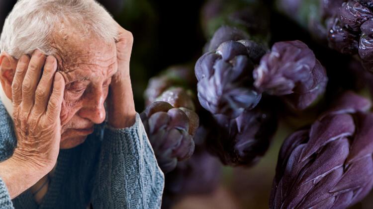 Günümüzde erken yaş döneminde de görülmeye başlayan ve kesin bir tedavisi olmayan Alzheimer’dan korunmak için hayatınıza dahil etmeniz gereken besinleri Nöroloji Uzmanı Dr. Pelin Duman açıkladı.