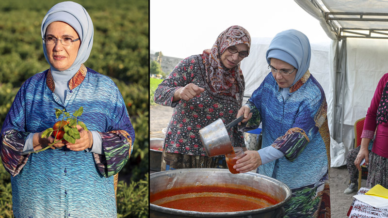 Emine Erdoğan, Ayaş'ta çiftçi kadınlarla tarladan domates topladı, kışlık menemen yaptı