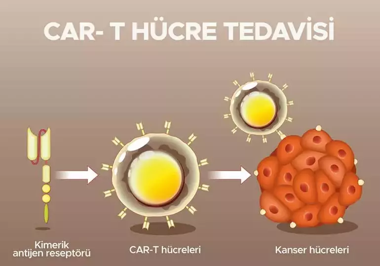 Car T