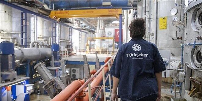 Türkiye Şeker Fabrikaları İşçi Alacak! İşte Başvuru Şartları