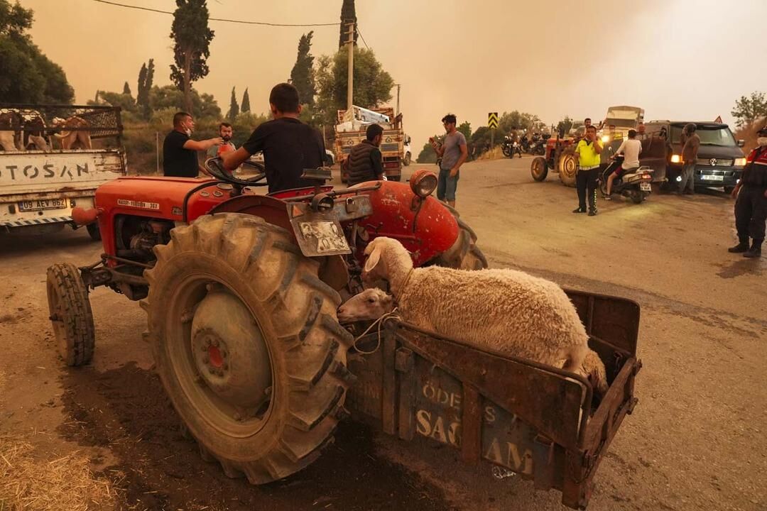 Izmir 11
