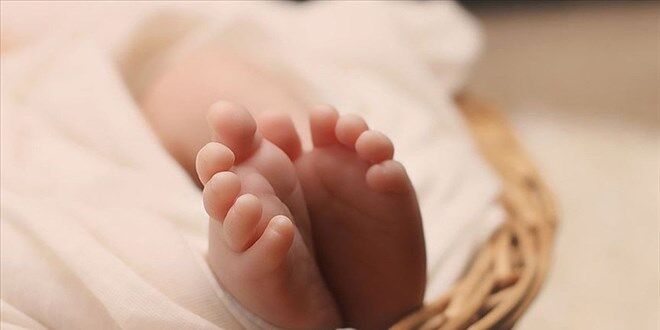 Bebek-1