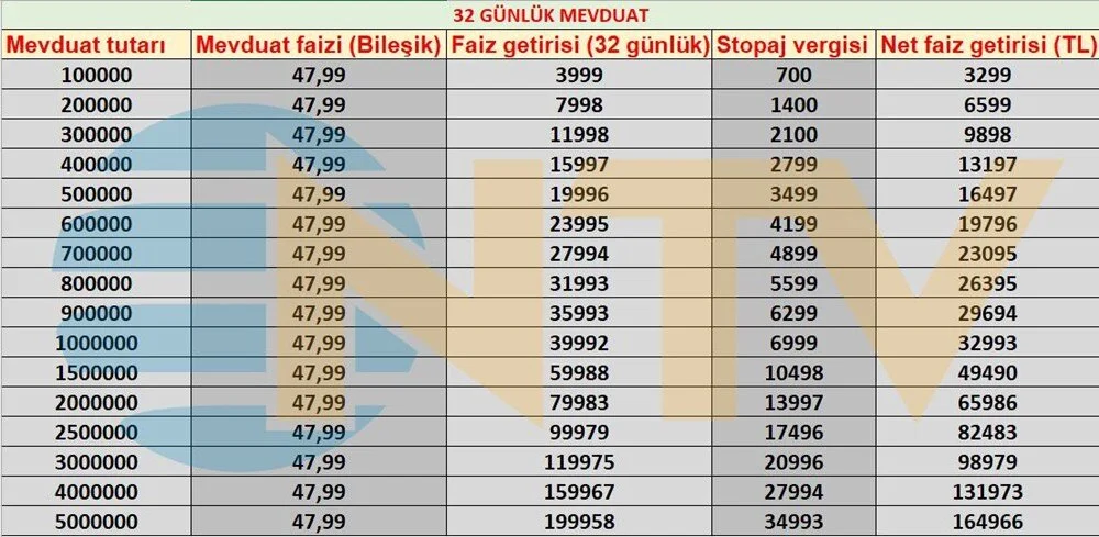 Faiz Getirisi 1
