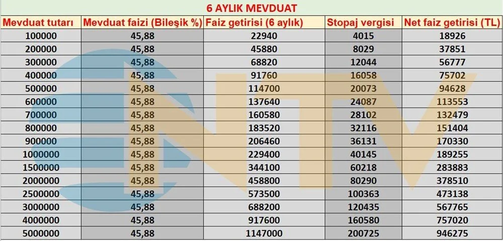 Faiz Getirisi 3
