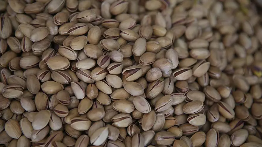 Antep Fıstığı
