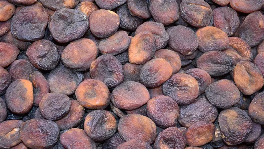 Kuru Kayısı