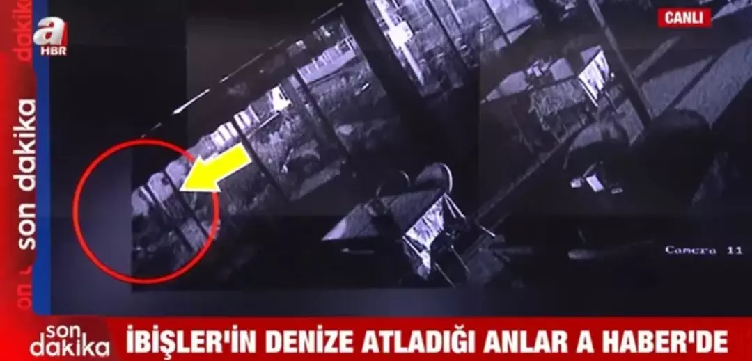 Ibişler 1