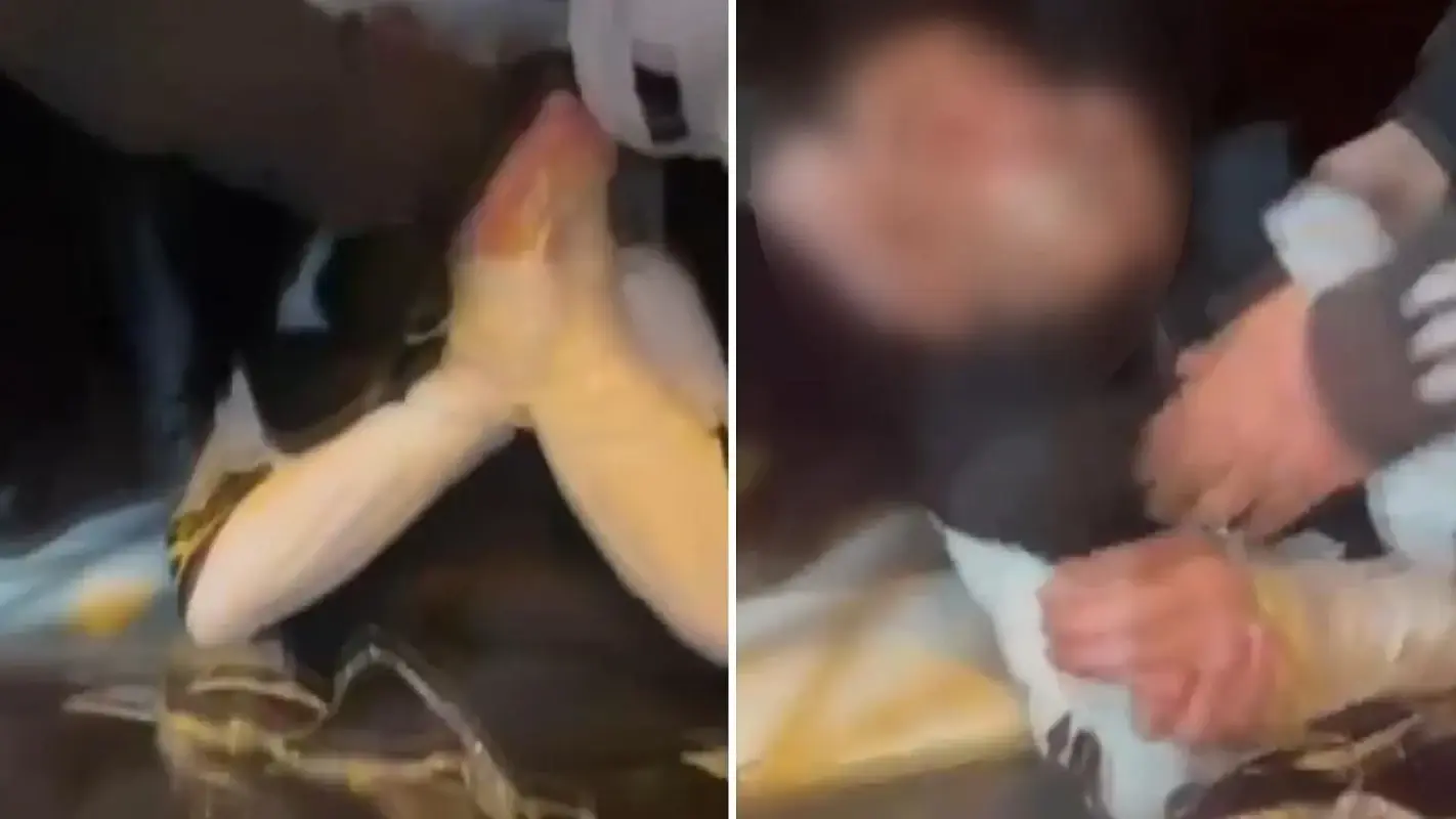 878B527D 69Yw8Vy4Qqw6Z0Coufma6M