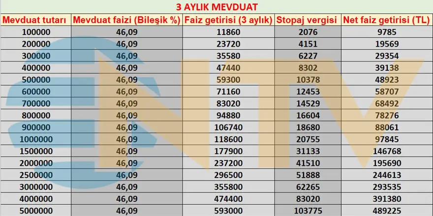 Mevduat Faizi 2