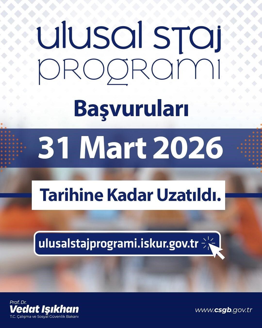 Ulusal Staj Programı
